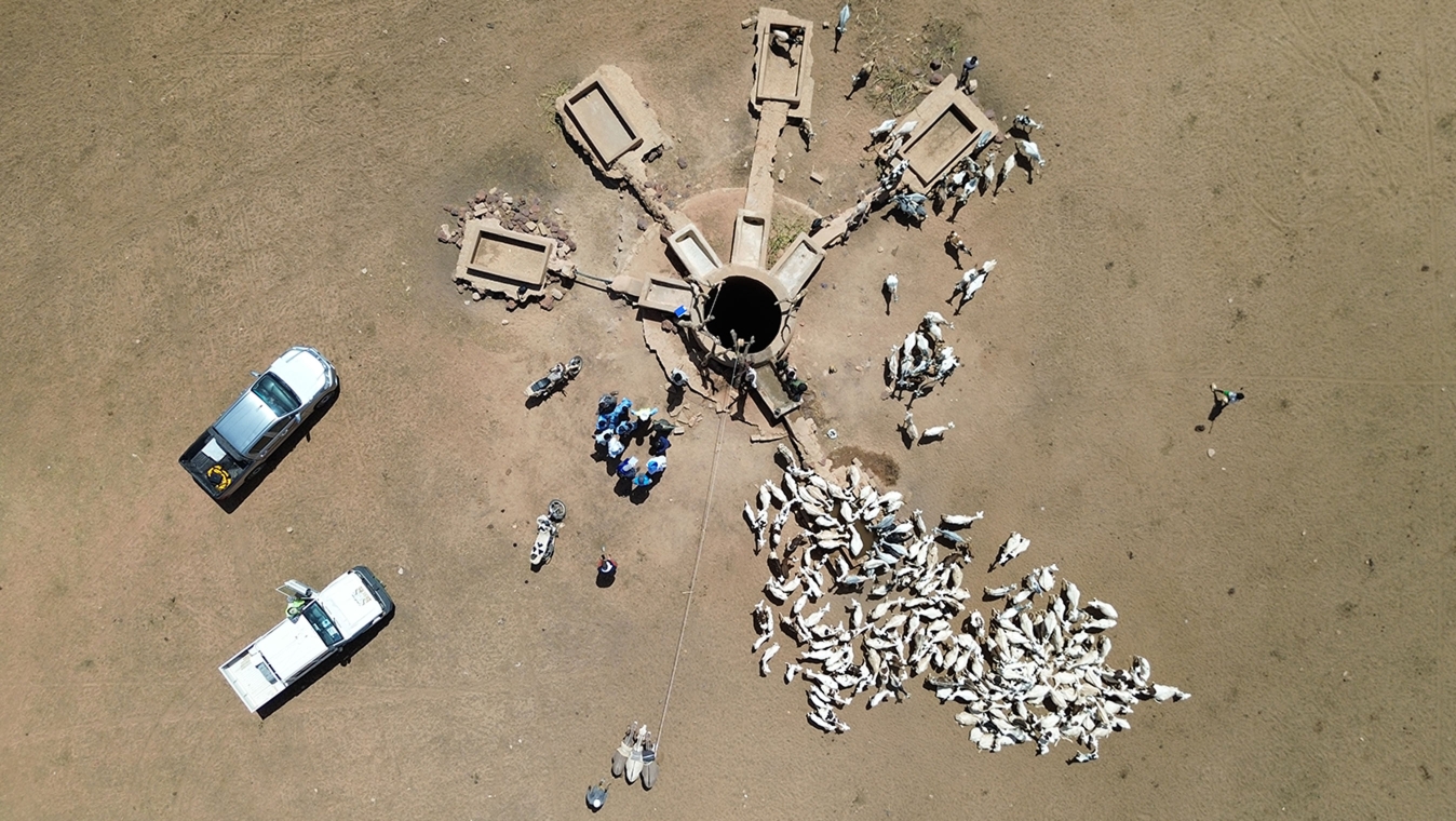 2025 Annual Impact Report bannière