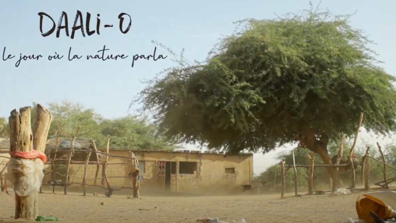 Daali-O