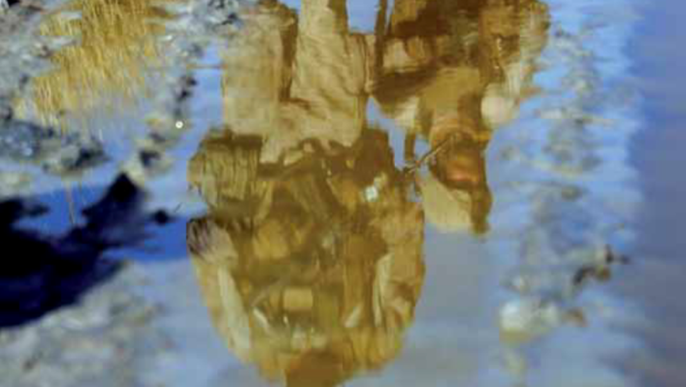 GASWAC IWL week banièrre