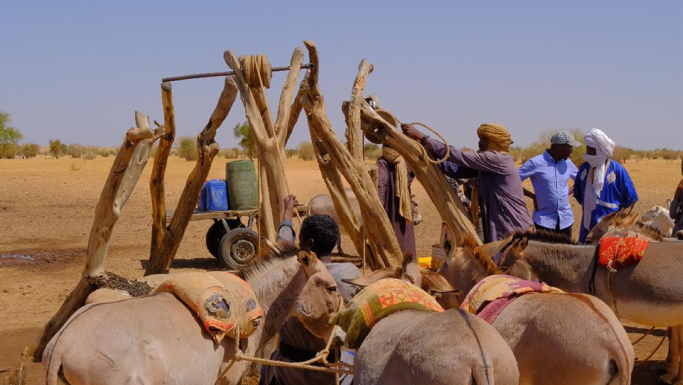 Mauritania bannière