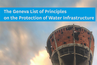 The Geneva List Of Principes cushcustom vignette