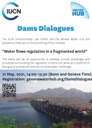IUCN Dams initiative flyer