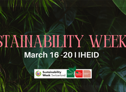 Decolonizing Sustainability vignette event