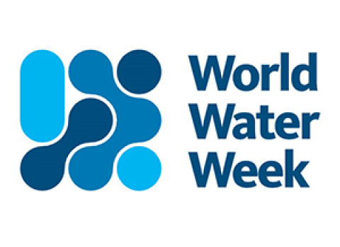 WWW Water Catalyst Peace