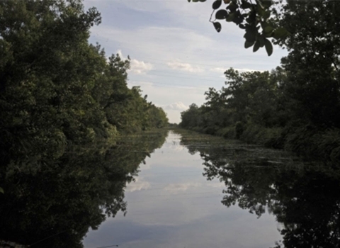Webinar Water Cooperation vignette event