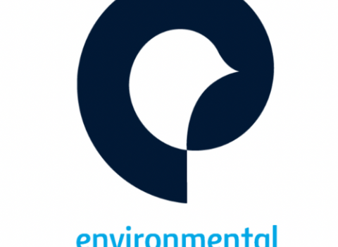 Consolidation de la paix dans l'environnement