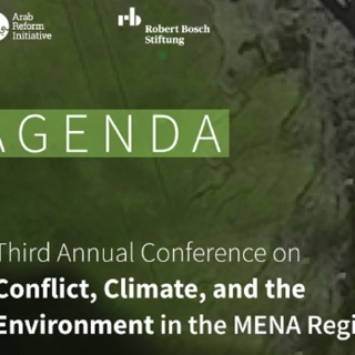 Arab Reform Initiative vignette event