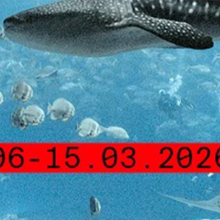 FIFDH 2026 event vignette