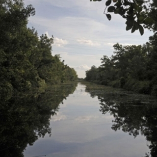 Webinar Water Cooperation vignette event