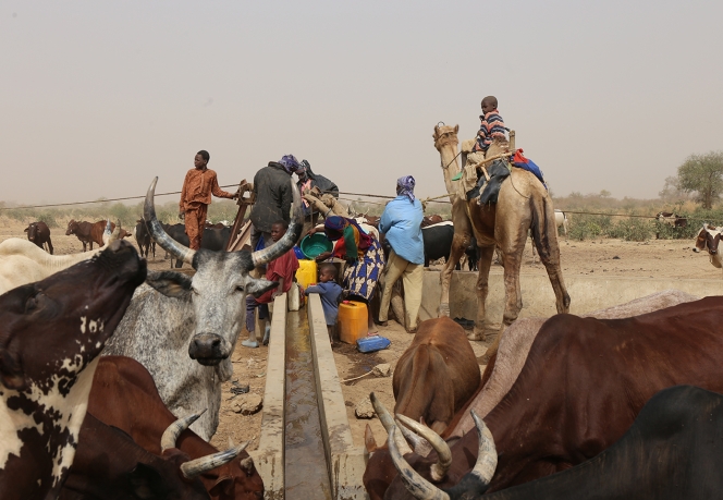 Empowering Local Actors on Water Cooperation Towards Social Cohesion