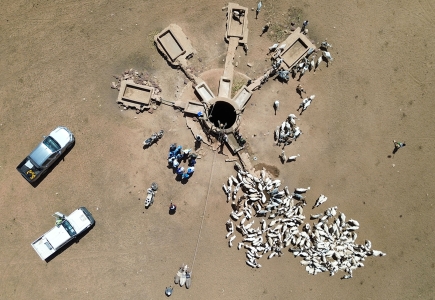 2025 Annual Impact Report bannière