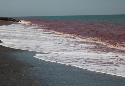 Ocean Hormuz Iran water sea salt