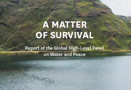 www Matter of Survival cover vignette