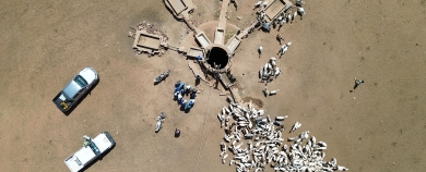 2025 Annual Impact Report bannière