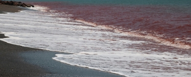 Ocean Hormuz Iran water sea salt