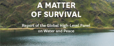 www Matter of Survival cover vignette